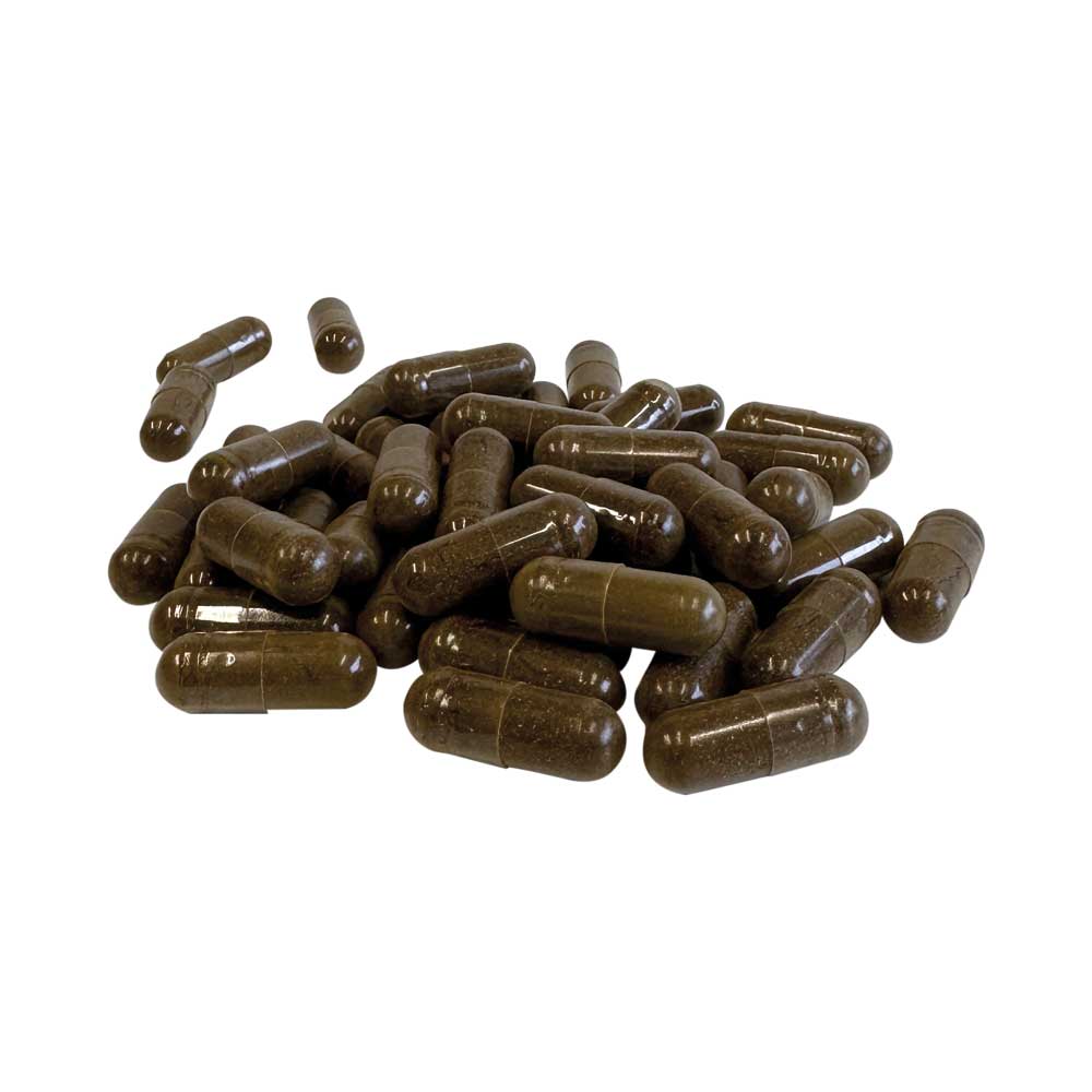 Ashwaganda - 120 capsules - Afbeelding 3