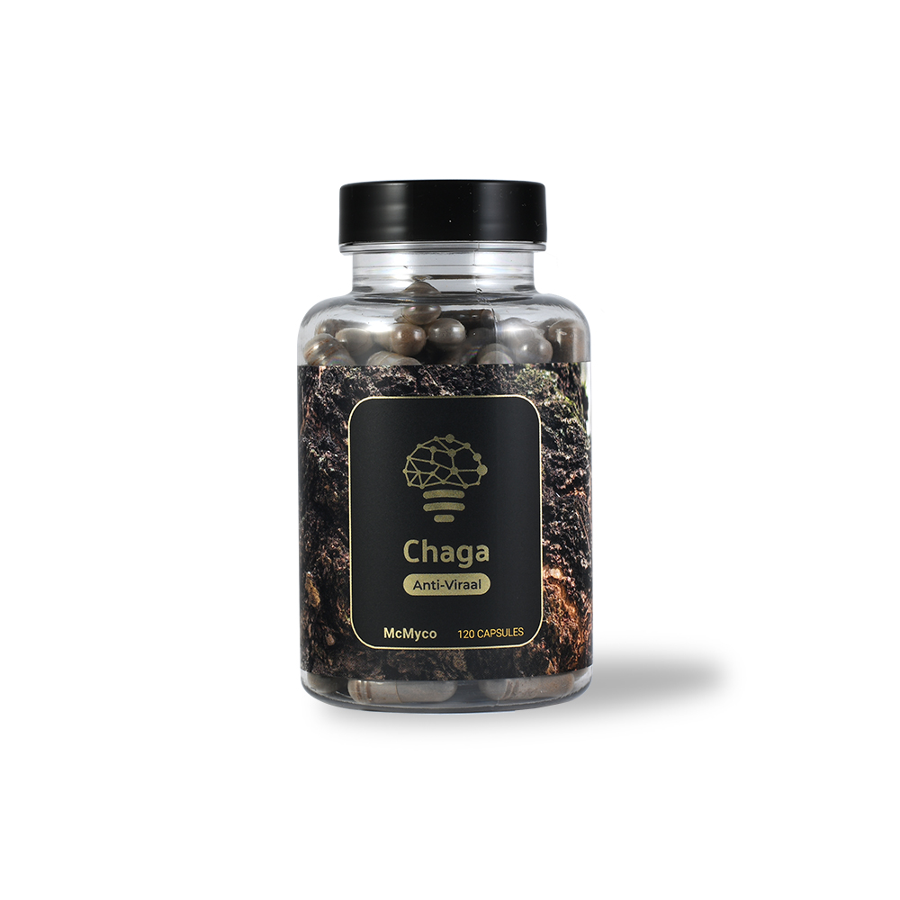 Chaga extract capsules - 120 pieces