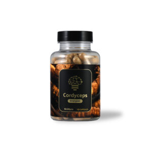 Cordyceps extract capsules - 120 pieces