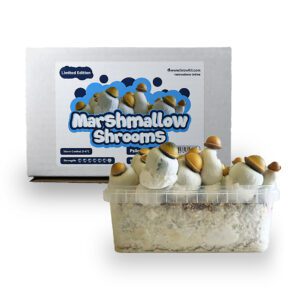 Marshmallow Shrooms Grow Kit - 1200 cc