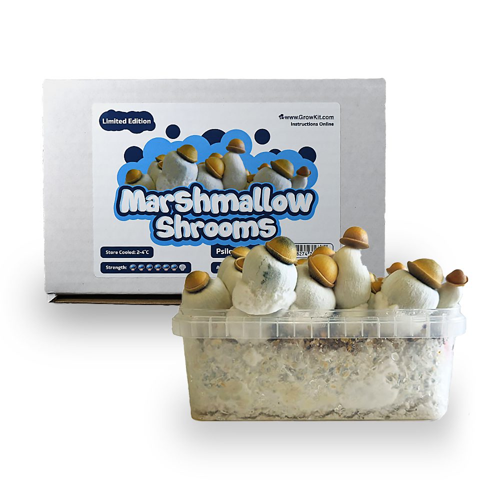 Marshmallow Shrooms Grow Kit - 1200 cc