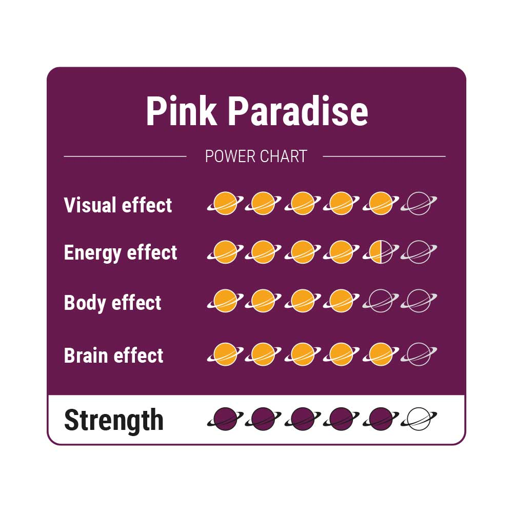Pink Paradise - 15 gram - Afbeelding 2